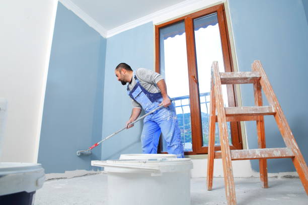 Best Mold Odor Removal Services  in Clyde, OH