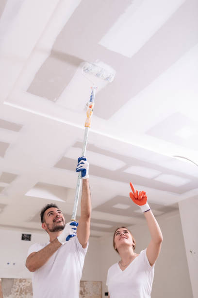 Best Attic Mold Removal  in Clyde, OH